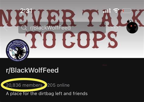 reddit blackwolffeed